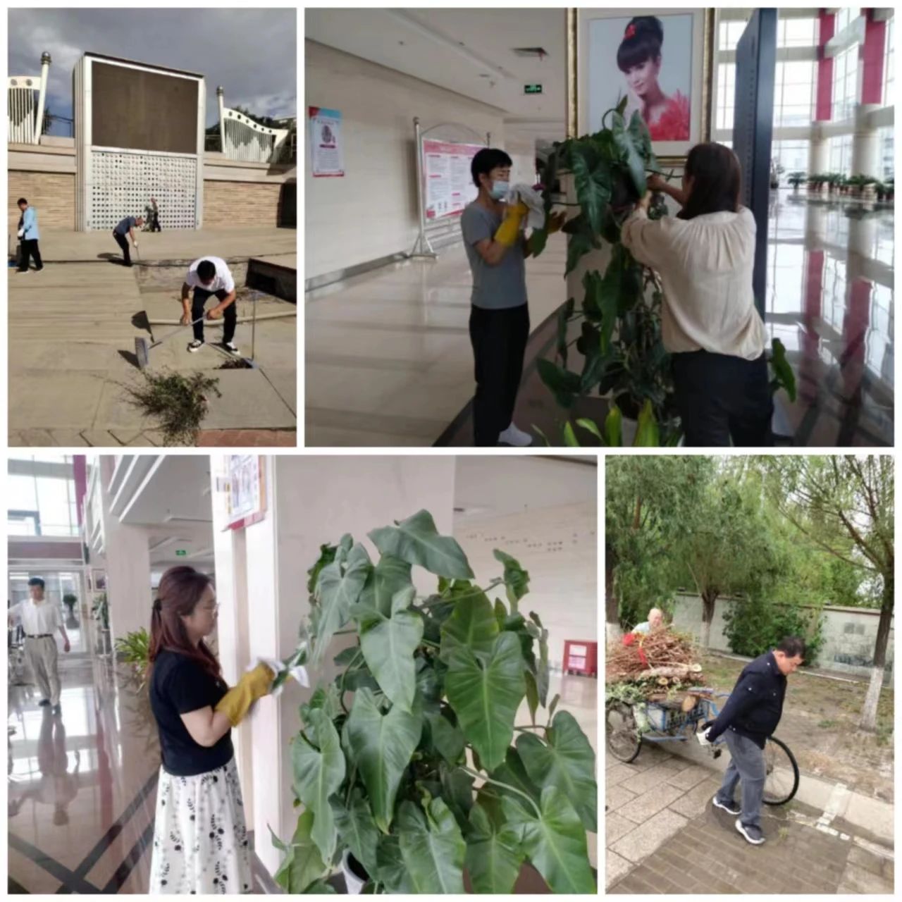 <b>【“三抓三促”進行時】| 嘉峪關(guān)大劇院開展“修剪樹木花草 美化工作環(huán)境”文</b>
